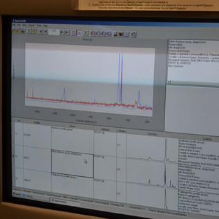 Raman Microprobe