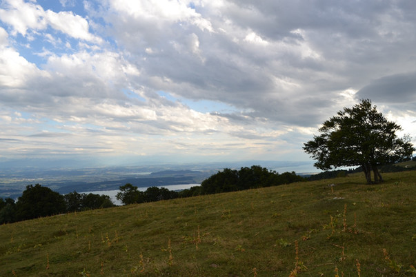 Mont Sujet