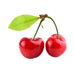 —Pngtree—cherry fresh ripe green leaf_6325602.png