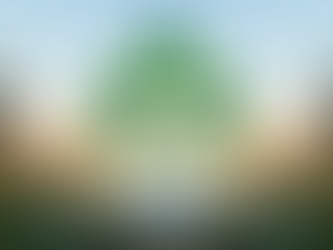 Early Bird Tickets on Sale Now!