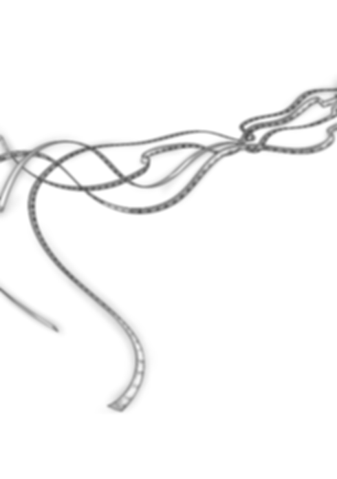 Untitled design (51).png