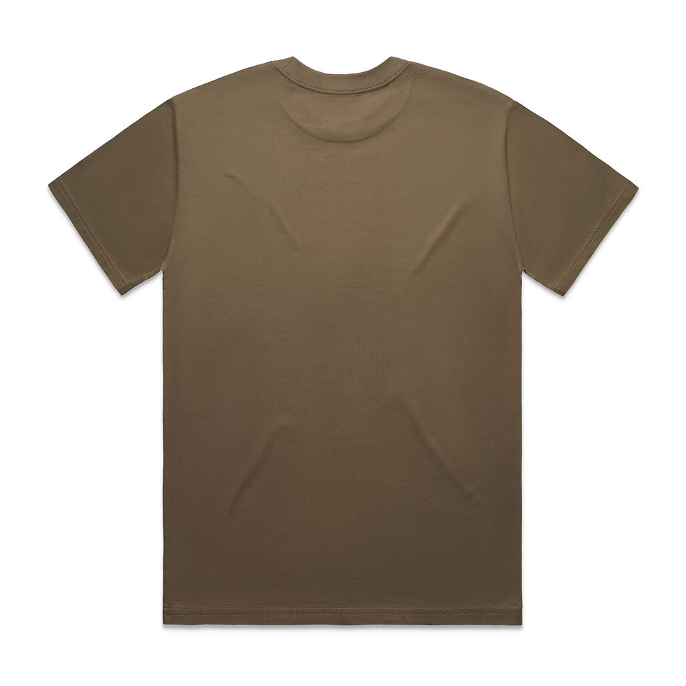 Evolve the Brand Heavyweight T-Shirt in clay