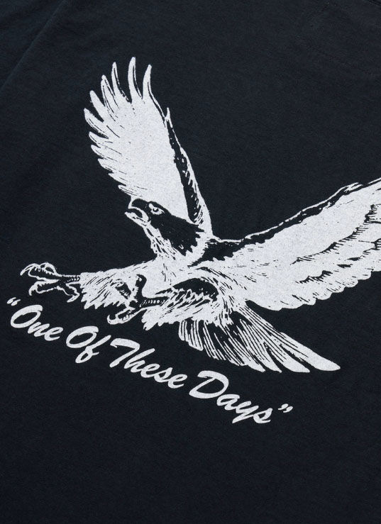 One of These Days Screaming Eagle T-Shirt in Washed Black colorway back graphic details