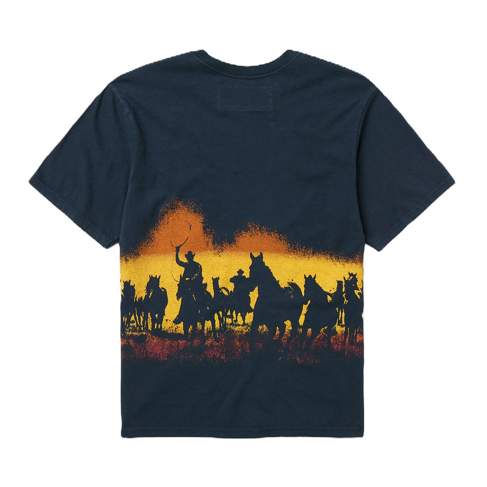 One Of These Days Velvet Morning Tee in washed black back flat