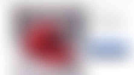 a red hat with the letter le on it