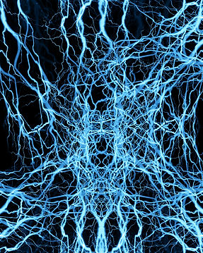 imofcny-neural-connections