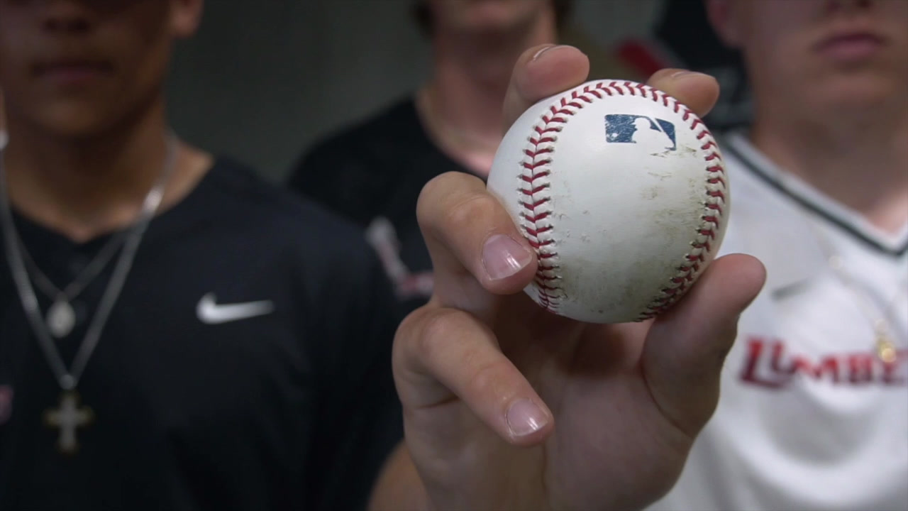 Great Lakes Baseball Academy