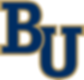 Bethel University.png