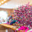 Thumbnail: Pink Starry Unicorn Rainbow Alternative Bouquet