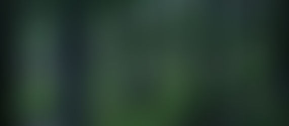 Bosque verde oscuro