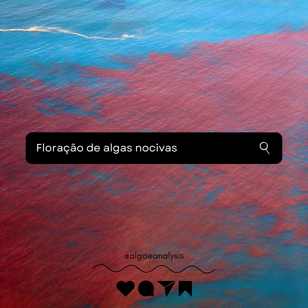 Floração de algas nocivas