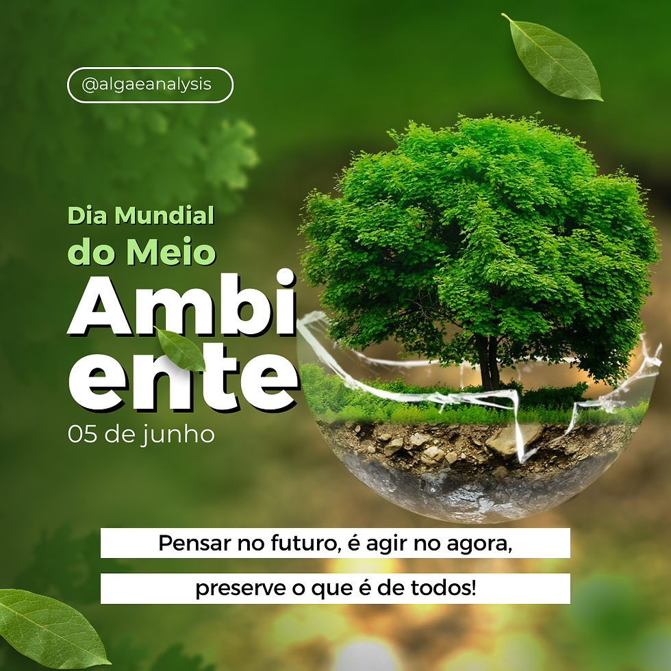 Dia Mundial do Meio Ambiente