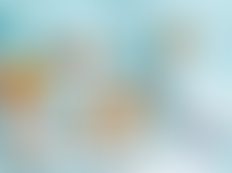 新加坡打擊非法1300個廣告行動中732名賣家面臨警告