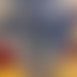 Captivating Oil Paintings of Cats: Three Cool Feline Portraits by Dorothy Annette