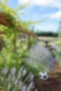 ChatGPT Image Mar 14, 2026, 07_04_29 PM.png