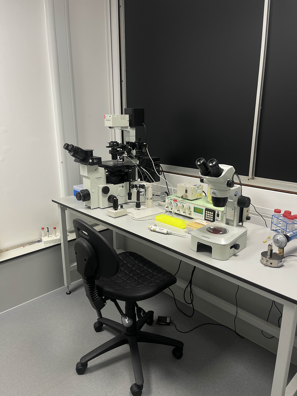 Injection apparatus fixed upon a microscope