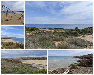 réserve de vendicari