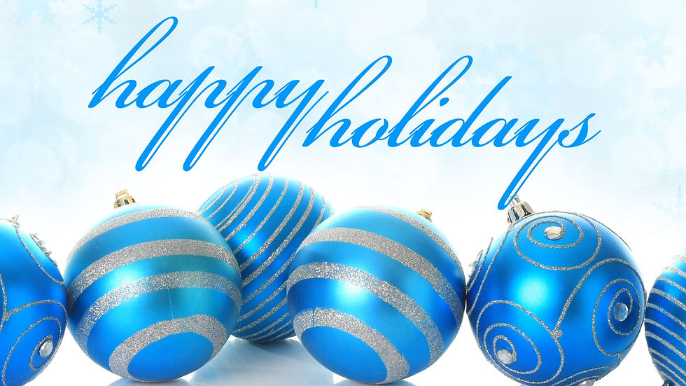 Our Guide to Surviving the Holidays!