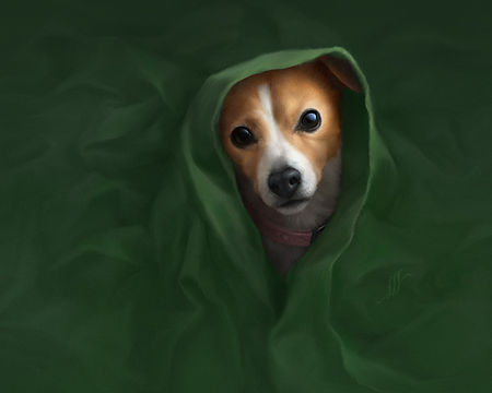 smterrier.jpg