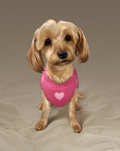 dogporty.jpg