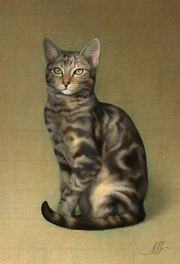 catport.jpg