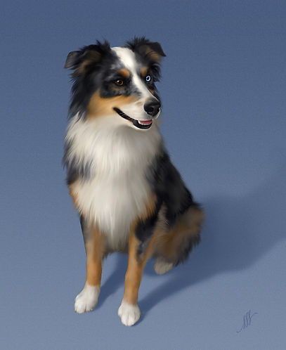 bo.jpg