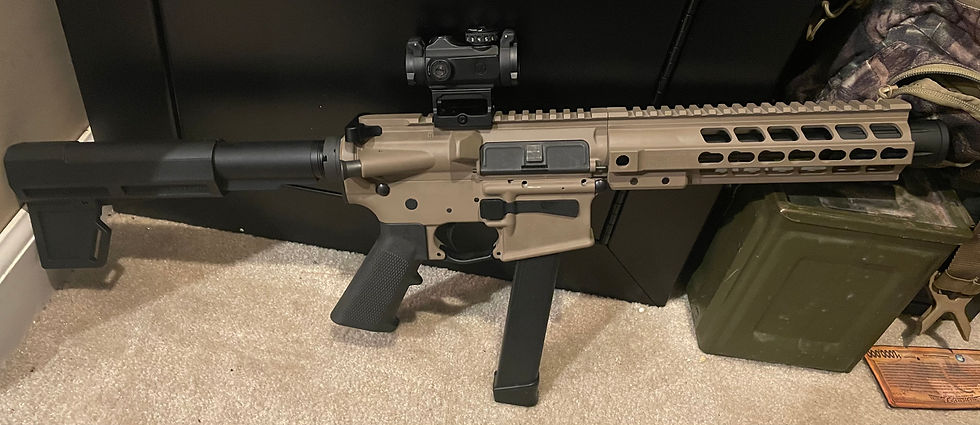 Custom AR9 in Dark Earth