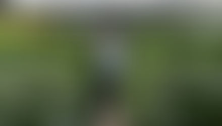 האו ג׳י של סן פרננדו בישראל | אבא שלך גנן #2