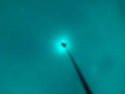 Sample Buoy Image