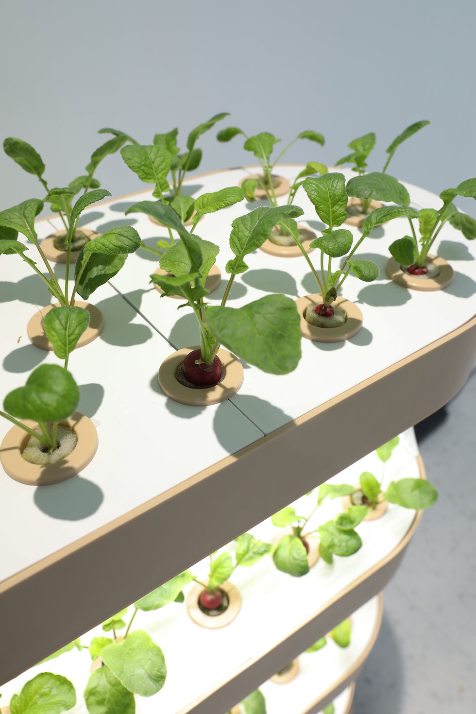 Thumbnail: Automatic Home Garden Aquaponics Hydroponic Irrigation Farming Supplies Complete