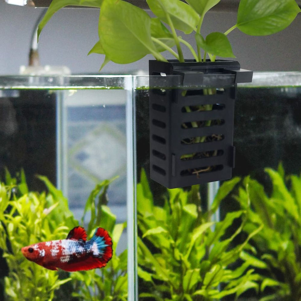 Thumbnail: Hydroponic Aquarium Plant Holder Glass Pot Water Plant Landscape Plant Cultivati