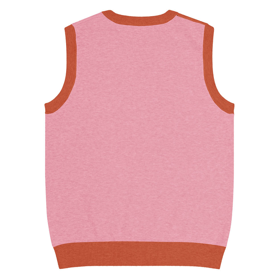 Thumbnail: Knit V-neck vest