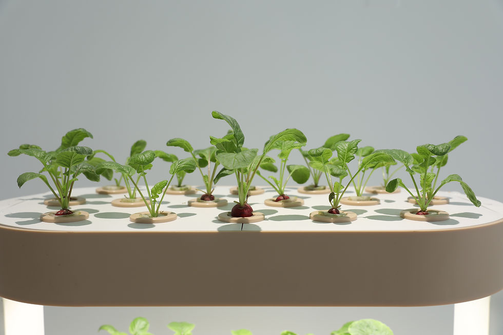 Thumbnail: Automatic Home Garden Aquaponics Hydroponic Irrigation Farming Supplies Complete