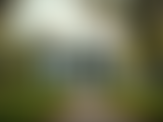 Architectural Fusion: The Adaptation of Greek Revival Style to Hawaii's Tropical Climate and Context