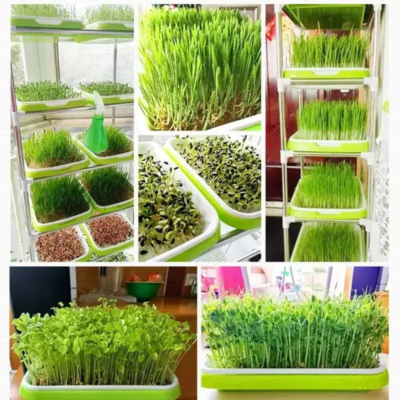 Thumbnail: Seed Sprouter Tray Double-layer Soilless Culture Seeds Hydroponic Nursery Tray p