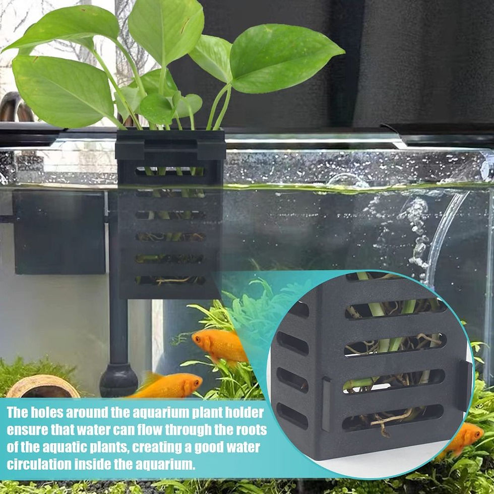 Thumbnail: Hydroponic Aquarium Glass Plant Holder Water Landscape Planted Tank Emersed Plan