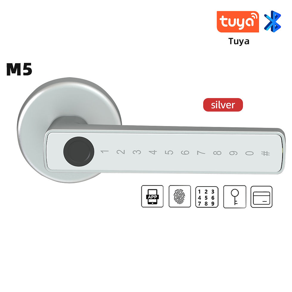 Thumbnail: RAYKUBE M5 Tuya BLE Smart Fingerprint Door Lock Digital Electronic Lock with Pas