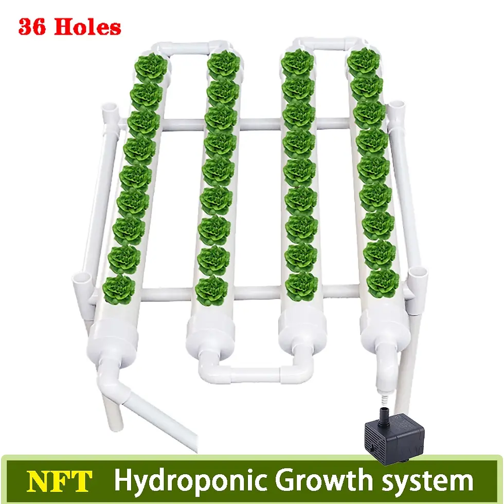 Thumbnail: Hydroponics Growing System Kits 36 Sites U-PVC-Pipe Hydroponic Garden Soilless C
