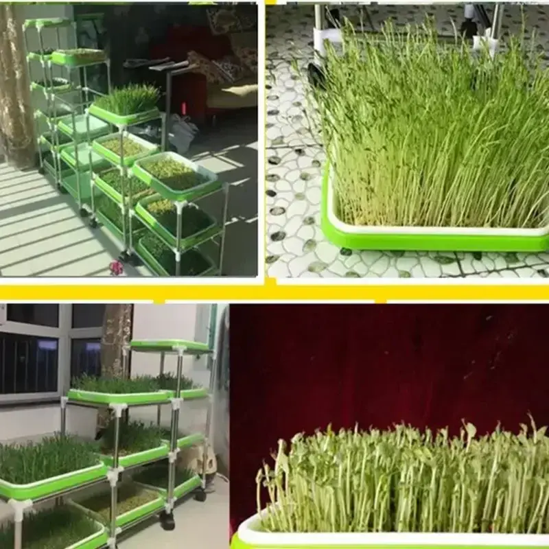 Thumbnail: Seed Sprouter Tray Double-layer Soilless Culture Seeds Hydroponic Nursery Tray p