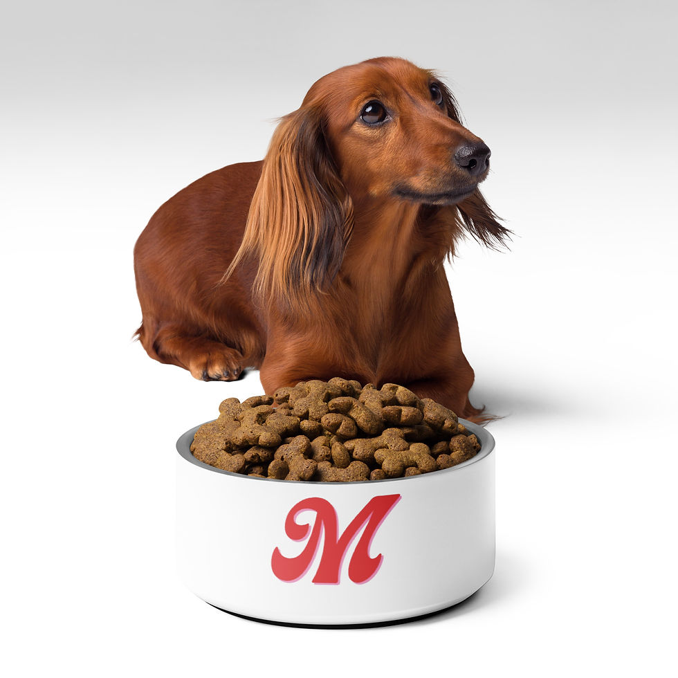 Thumbnail: Pet bowl
