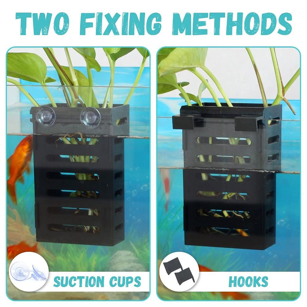 Thumbnail: Hydroponic Aquarium Glass Plant Holder Water Landscape Planted Tank Emersed Plan