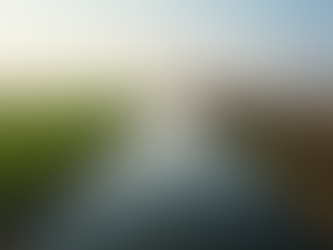 Engineering Defenses: Project Management for Flood Prevention and Climate Adaptation.