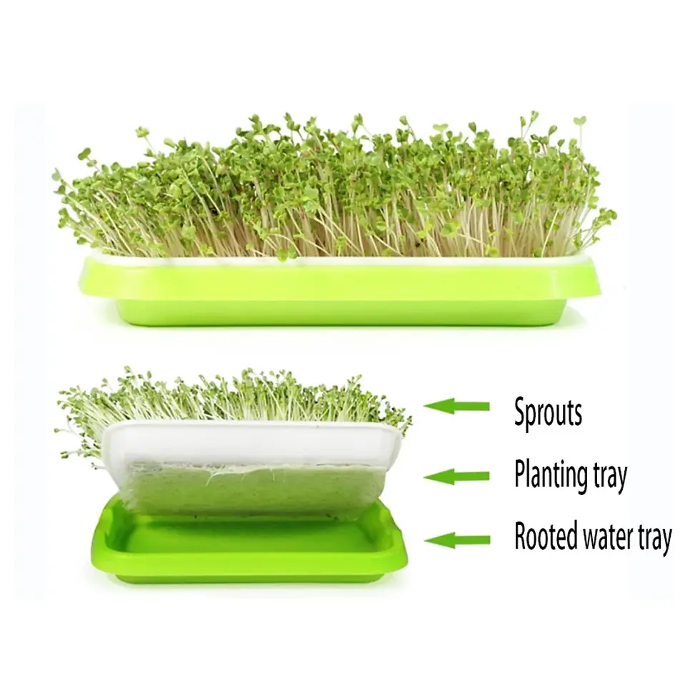 Thumbnail: Microgreens Sprouter Tray Hydroponic / Sprouting Tray For Sprout Horticultural H