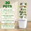 Thumbnail: Vertical Hydroponic Growing System Planting Tower Hydroponic Box