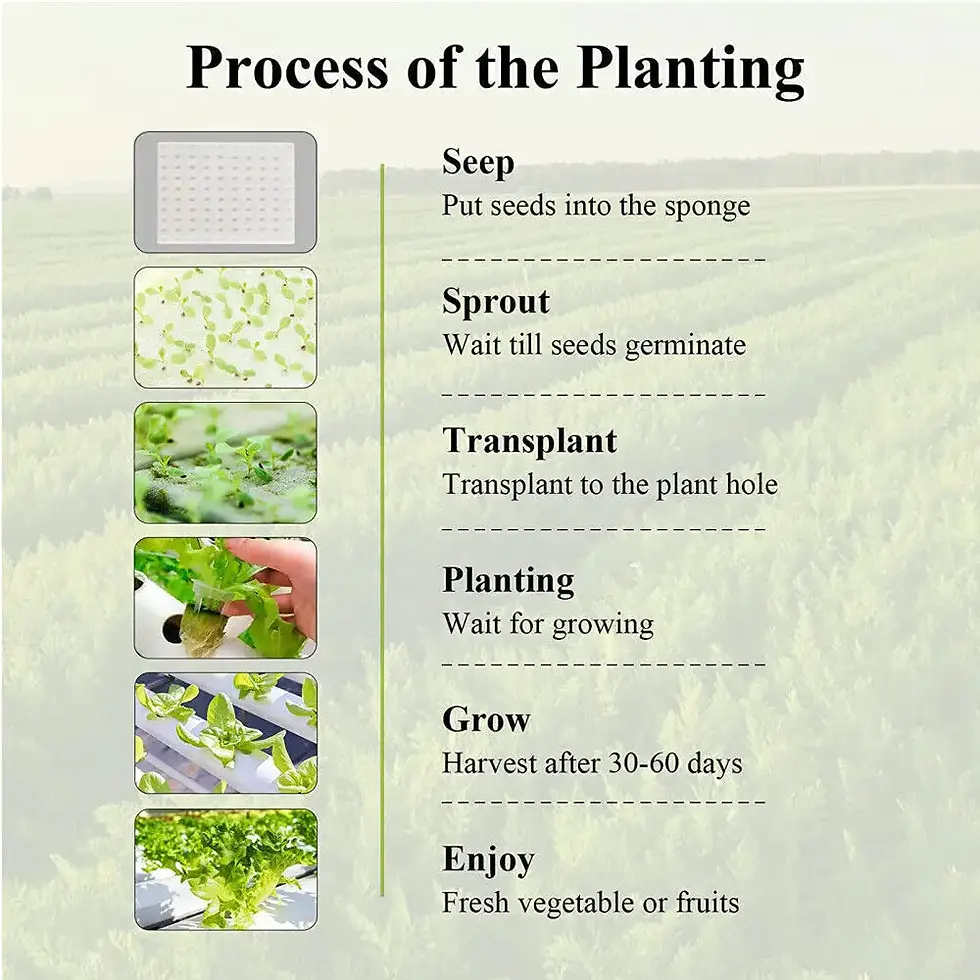 Thumbnail: Hydroponics Growing System Kits 36 Sites U-PVC-Pipe Hydroponic Garden Soilless C