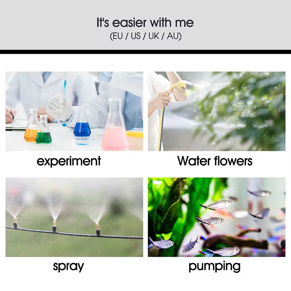 Thumbnail: 45/60/80/100W 110-240V Self-priming Pressurize Diaphragm Pump for Watering Car W