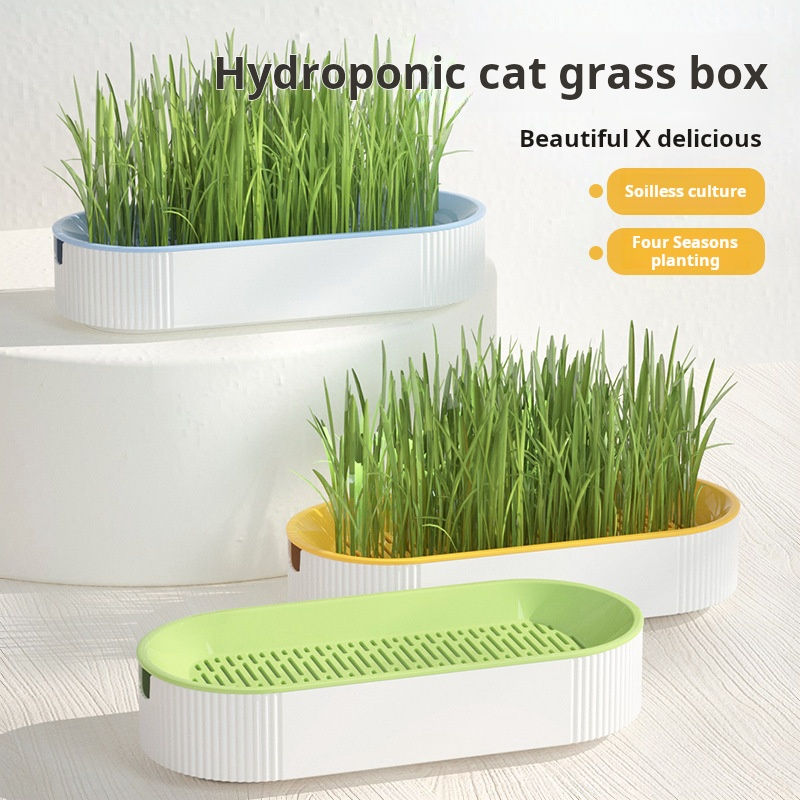 Thumbnail: Hydroponic Cat Grass Box Cat Treats Catnip Hydroponic Soilless Planting Cat Gras