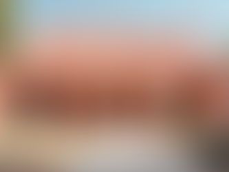 Unveiling the Secrets: The Intriguing Construction Methods of the Chamberlain House in Honolulu