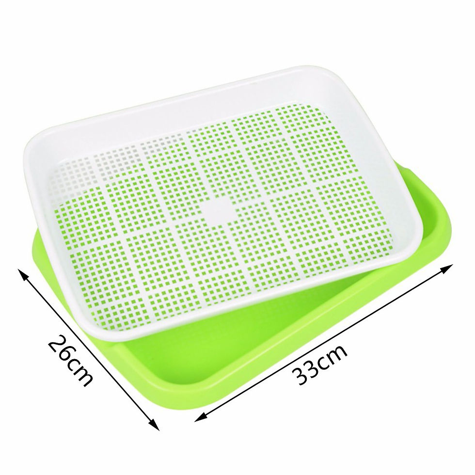 Thumbnail: Microgreens Sprouter Tray Hydroponic / Sprouting Tray For Sprout Horticultural H