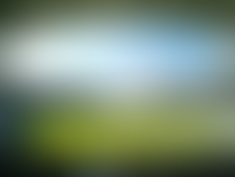 Unveiling the Architectural Mastery Behind Virat Kohli's Favorite Stadiums